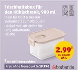 Penny Solingen - Frischhaltebox für den Kühlschrank Angebot im Prospekt Frischhaltebox für den Kühlschrank bei Penny im Solingen Prospekt für 2,99 €