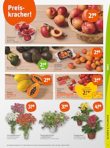 Obst im aktuellen tegut Prospekt (Frankfurt (Main)) Obst im tegut Prospekt "tegut… gute Lebensmittel" mit 28 Seiten (Frankfurt (Main))