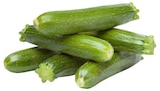 Mini Zucchini Angebote bei Lestra Bremerhaven für 4,99 €