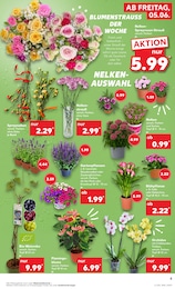 Deko im Kaufland Prospekt Deko im Kaufland Prospekt Hier bin ich richtig auf S. 12