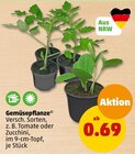 Gemüsepflanze bei Penny-Markt im Thüngersheim Prospekt für 0,69 €