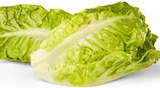 Angebot im Penny Mühlhausen Prospekt Penny Mühlhausen Prospekt mit im Angebot für 0,99 €