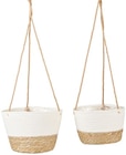 Set hängende Pflanzenkörbe von  im aktuellen Penny Prospekt für 9,99 €