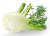 Fenchel Angebote von REWE Regional bei REWE Lüdenscheid für 1,99 €