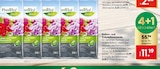 Balkon- und Kübelpflanzenerde bei BayWa Bau- und Gartenmärkte im Prospekt "" für 11,19 €