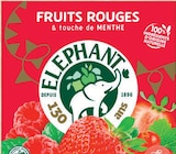 Infusion Fruits Rouges - Éléphant - Intermarché Hyper Infusion Fruits Rouges - Éléphant à 0,77 € dans le catalogue Intermarché Hyper