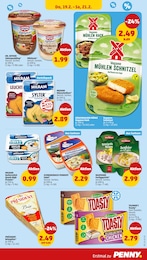 Penny Schnitzel im Prospekt 