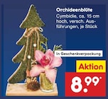 Orchideenblüte im Angebot bei Netto Marken-Discount in Siegen Orchideenblüte Angebote bei Netto Marken-Discount Siegen für 8,99 €