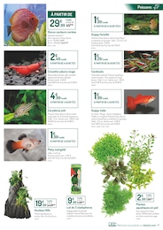 Offre Crevettes dans le catalogue Botanic du moment à la page 7