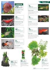Poisson Rouge Angebote im Prospekt "ON A TOUS UNE BONNE RAISON DE SE RAPPROCHER DE LA NATURE" von Botanic Poisson Rouge Angebote im Prospekt "ON A TOUS UNE BONNE RAISON DE SE RAPPROCHER DE LA NATURE" von Botanic auf Seite 7