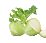 EDEKA Welt - Kohlrabi Angebot im Prospekt Kohlrabi bei EDEKA im Welt Prospekt für 1,00 €