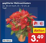 geglitterter Weihnachtsstern bei Netto Marken-Discount im Gladbeck Prospekt für 3,49 €