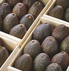 Avocat Affiné dans le catalogue Netto