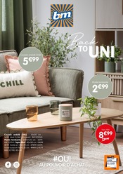 Plante Verte en promo dans le catalogue B&M à la page 1