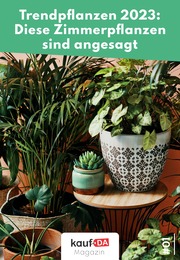 kaufDA Magazin Prospekt: "Trendpflanzen", 1 Seite, 10.01.2023 - 21.02.2023