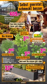 Gewächshaus im Hornbach Prospekt in Mettmann Aktueller Hornbach Prospekt mit Gewächshaus, "Dir ist vieles Latte. Nur nicht Dein Garten.", Seite 17