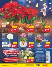 Netto Marken-Discount Alpenveilchen im Prospekt Netto Marken-Discount Alpenveilchen im Prospekt