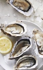 Huître fine de cancale - Supermarchés Match à Wattrelos Huître fine de cancale en promo chez Supermarchés Match Wattrelos à 7,99 €