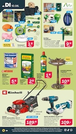Hundezubehör im Netto mit dem Scottie Prospekt in Potsdam Aktueller Netto mit dem Scottie Prospekt mit Hundezubehör, "Günstig. Besser. Für Dich.", Seite 20
