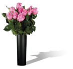 Bouquet de petites roses en promo chez Lidl Dunkerque à 1,99 €