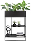 Übertopf „COSY“ Angebote bei mömax Herford für 9,99 €
