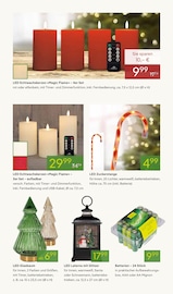 Laternen im Pflanzen Kölle Prospekt in Schwabach Aktueller Pflanzen Kölle Prospekt mit Laternen, "WINTERZAUBER ERLEBEN", Seite 6