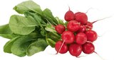 Aktuelles Radieschen Angebot bei EDEKA in Hamm ab 0,77 €