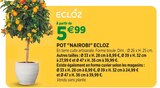 Jardineries du terroir Dole - Promo Pot "Nairobi" ECLOZ Promo Pot "Nairobi" ECLOZ à 5,99 € dans le catalogue Jardineries du terroir à Dole