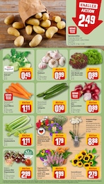 Pflanzen Angebot im aktuellen REWE Prospekt auf Seite 7