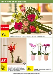 Orchidée Angebote im Prospekt "Carrefour" von Carrefour Orchidée Angebote im Prospekt "Carrefour" von Carrefour auf Seite 85
