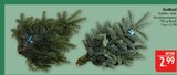 Nobilis Tanne Angebote bei Marktkauf Schwabach für 2,99 €