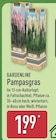 Pampasgras von Gardenline im aktuellen ALDI Nord Prospekt