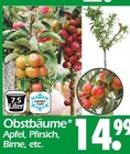 Obstbäume im Angebot bei Wreesmann in Dresden Obstbäume Angebote bei Wreesmann Dresden für 14,99 €