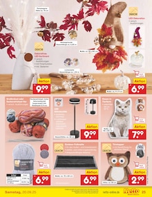 Kissen im Netto Marken-Discount Prospekt "Aktuelle Angebote" mit 60 Seiten (Stuttgart)