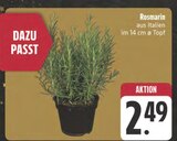 Rosmarin im Angebot bei EDEKA in Amberg Rosmarin Angebote bei EDEKA Amberg für 2,49 €