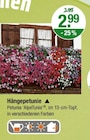 Hängepetunie im V-Markt Prospekt Hängepetunie von im aktuellen V-Markt Prospekt für 2,99 €