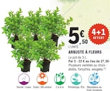 Promo Arbuste à fleurs à 5,50 € dans le catalogue E.Leclerc à Bruges