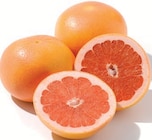 Grapefruit im aktuellen Netto mit dem Scottie Prospekt