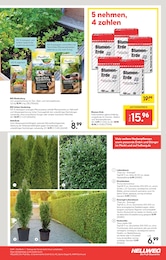 Blumentopf Angebot im aktuellen Hellweg Prospekt auf Seite 23