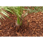 Promo Paillis d'écorces de pin à 6,99 € dans le catalogue Carrefour Market à Mareuil-lès-Meaux