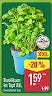 Aktuelles Basilikum im Topf XXL Angebot bei ALDI Nord in Wuppertal ab 1,59 €