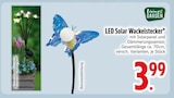 LED Solar Wackelstecker im Angebot bei EDEKA in Ravensburg LED Solar Wackelstecker Angebote von Living Garden bei EDEKA Ravensburg für 3,99 €