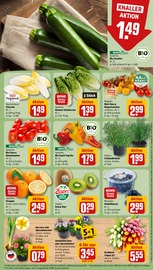 Ähnliche Gurkenpflanze Angebote im Prospekt "Dein Markt" von REWE in Köln Ähnliche Angebote wie Gurkenpflanze im Prospekt "Dein Markt" auf Seite 9 von REWE in Köln