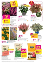 Promos Bruyère dans le catalogue "Chez nous les bonnes affaires c'est toute l'année" de Delbard à la page 2 Promos Bruyère dans le catalogue "Chez nous les bonnes affaires c'est toute l'année" de Delbard à la page 2