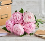 Promo Bouquet de 5 pivoines doubles à 4,99 € dans le catalogue Carrefour à Dax