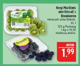 Mini Kiwis im Angebot bei Marktkauf in Schwabach Mini Kiwis Angebote von Nergi bei Marktkauf Schwabach für 1,99 €