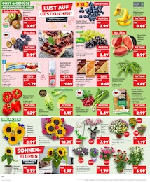 Orchidee Angebot im aktuellen Kaufland Prospekt auf Seite 10