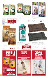 Aktueller Dehner Garten-Center Prospekt mit Hundefutter, "SOMMER MEDITERRAN", Seite 14
