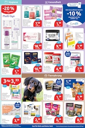 Hundefutter Angebot im aktuellen budni Prospekt auf Seite 5