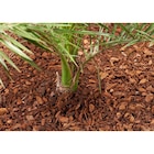 Paillis d'écorces de pin à Carrefour Market dans Bonnefont